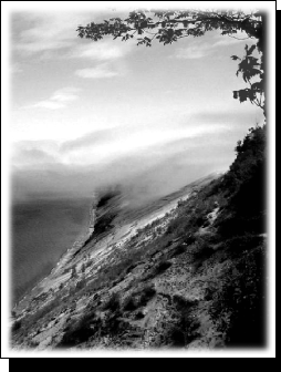 Writings on Spirituality and the Environment