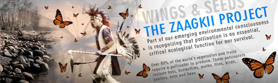 Wings and Seeds - The Zaagkii Project